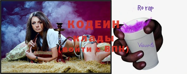 прущие грибы Фурманов