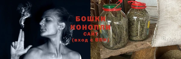 прущие грибы Фурманов