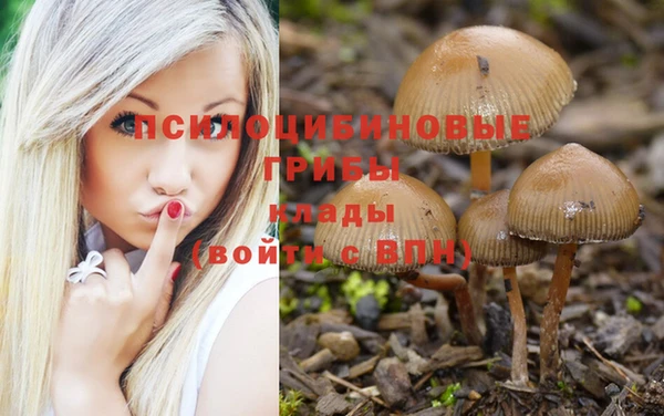 прущая мука Чекалин