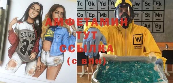 прущие грибы Фурманов