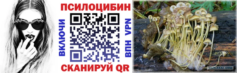 Галлюциногенные грибы Magic Shrooms  Купить закладки  Абдулино 